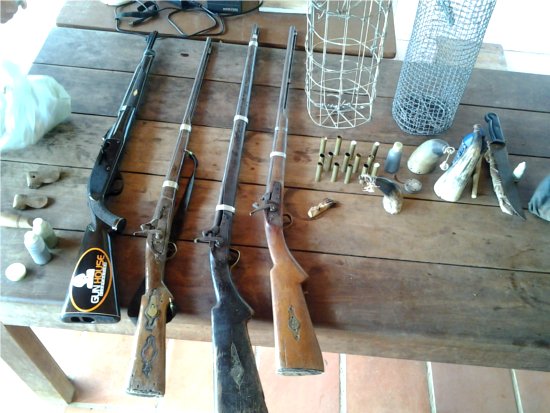armas, dia 28/1/2014