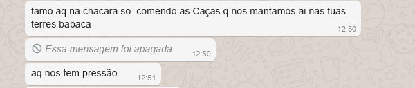 Parte da conversa do WhatsApp