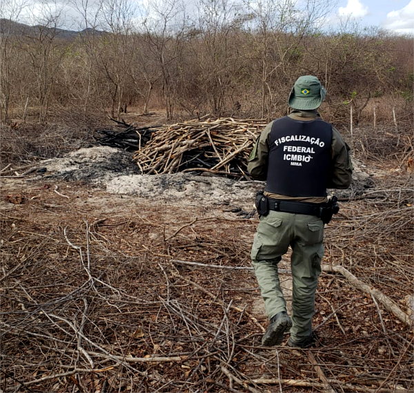 Fiscalização no terreno dos Bentos