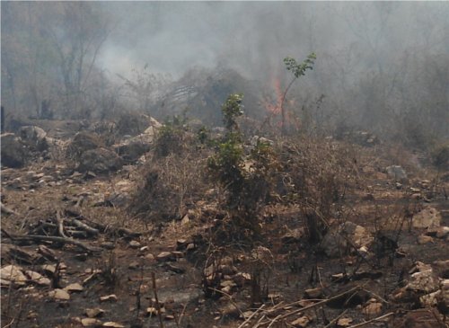 Incêndio no terreno da Família Bento, 05 Dezembro de 2011
