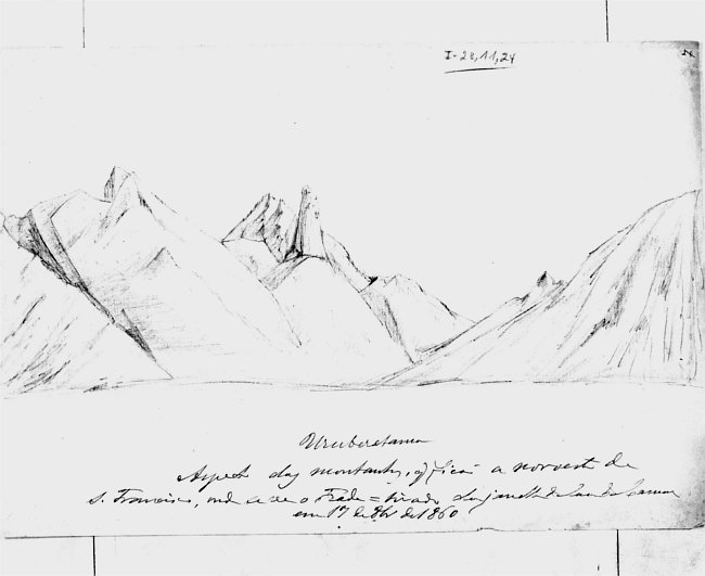 Manihot glaziovii