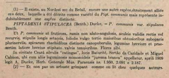 Nota de rodapé de Ducke 1930