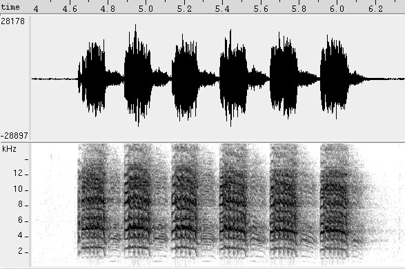 Periquito-da-caatinga sonogram