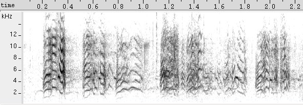 Periquito-da-caatinga sonogram