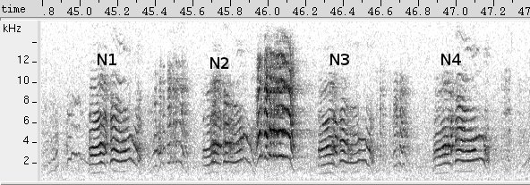 Periquito-da-caatinga sonogram