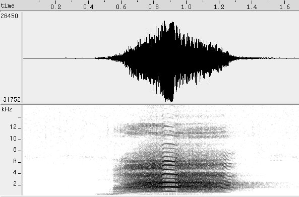 Raposa sonogram