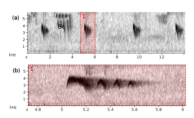 Enferrujado sonogram