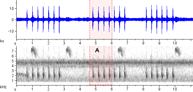 Papa-formigas-pardo sonogram