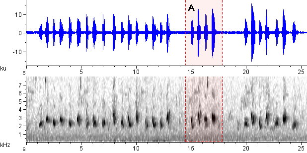 Sabiá-poca sonogram