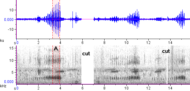 Casaca-de-couro-amarelo sonogram