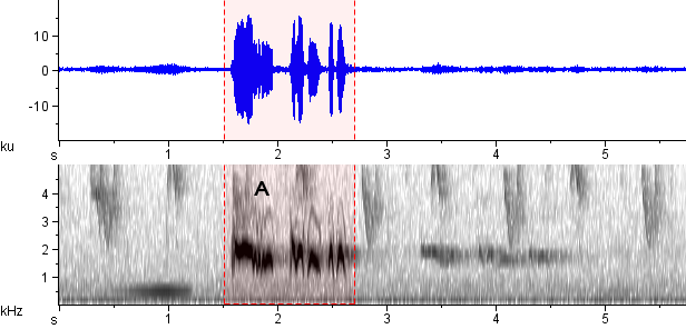 Bico-de-latão sonogram