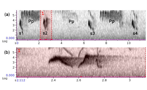 Enferrujado sonogram