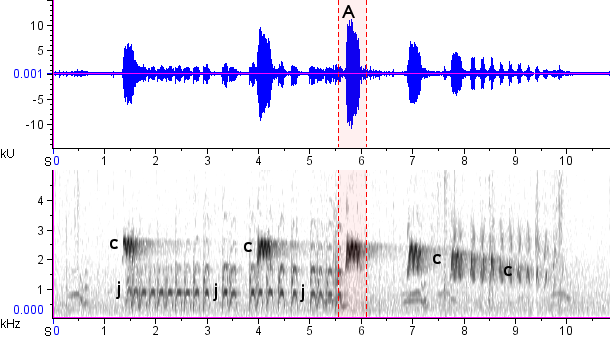Inhambu-chintã sonogram