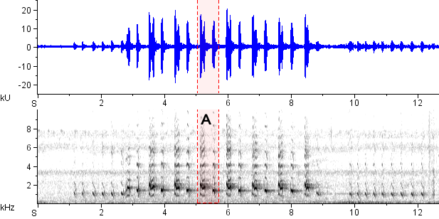 Saracura sonogram